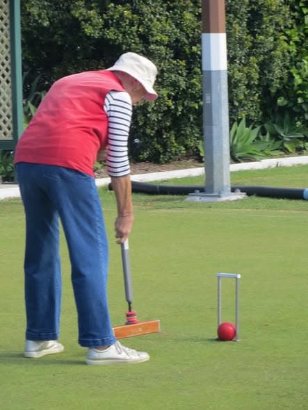 Lawn Looping: A Fun Croquet Practice Game